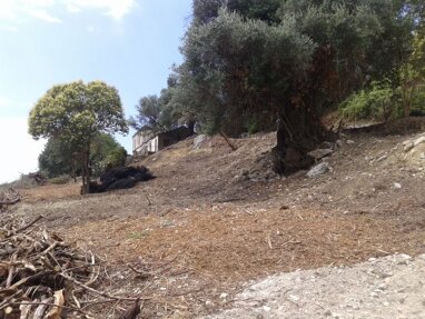 Land-/Forstwirtschaft zum Kauf 550.000 € 2.250 m² Grundstück Korfu