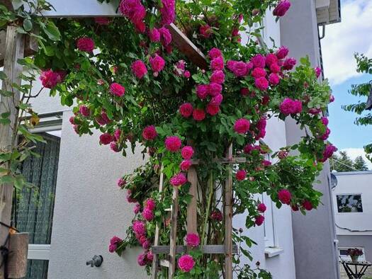 Maisonette zur Miete 1.280 € 3,5 Zimmer 115 m² 2 Geschosse frei ab 01.01.2026 Walddorf Walddorfhäslach 72141