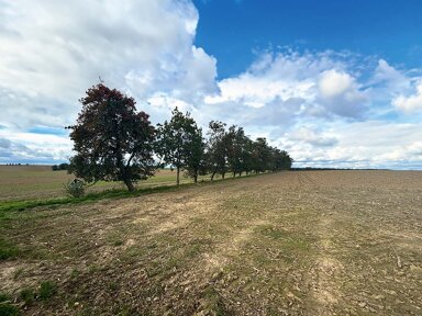 Landwirtschaftliche Fläche zur Versteigerung 750 € 1.035 m² Paschkowitz Mügeln 04769