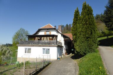Bauernhaus zum Kauf 595.000 € 7 Zimmer 207 m² 10.876 m² Grundstück Wieslet Kleines Wiesental 79692