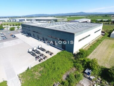 Halle/Industriefläche zur Miete 3.750 m² Lagerfläche teilbar ab 1.250 m² Gernsheim Gernsheim 64579