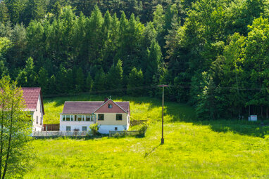 Haus zum Kauf 99.990 € 6 Zimmer 92 m² 435 m² Grundstück Langendembach Langenorla 07381