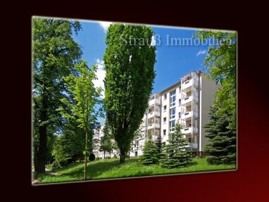 Apartment zur Miete 300 € 3 Zimmer 60 m² 4. Geschoss Parkstraße 18 Kapellenberg 812 Chemnitz 09120