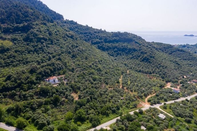 Grundstück zum Kauf 120.000 € 10.889,9 m² Grundstück Thassos, Chrysi Ammoudia