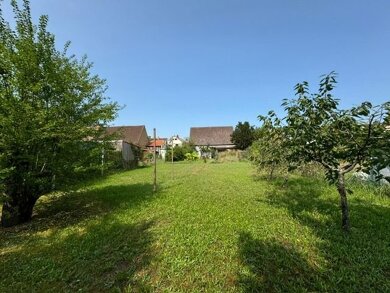 Grundstück zum Kauf 980.000 € 1.080 m² Grundstück Wiesental Waghäusel 68753