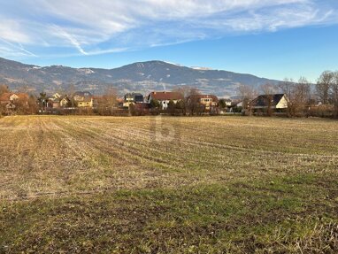Land-/Forstwirtschaft zum Kauf 134.000 € 6.971 m² Grundstück Wolfsberg 9400