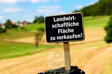 Land-/Forstwirtschaft zum Kauf 56.063 m² Grundstück Mariaposching Mariaposching 94553
