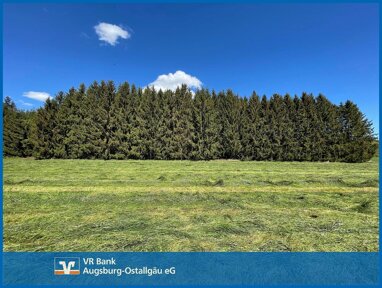 Land-/Forstwirtschaft zum Kauf 35.000 € 5.112 m² Grundstück Mindelheim Mindelheim 87719
