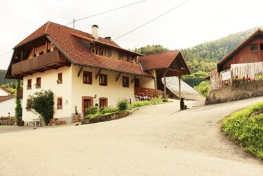 Bauernhof zum Kauf 899.000 € 249 m² 18.210 m² Grundstück Wambach Kleines Wiesental 79692
