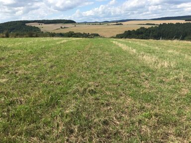 Land-/Forstwirtschaft zur Miete provisionsfrei 105.000 m² Grundstück Horschbach 66887