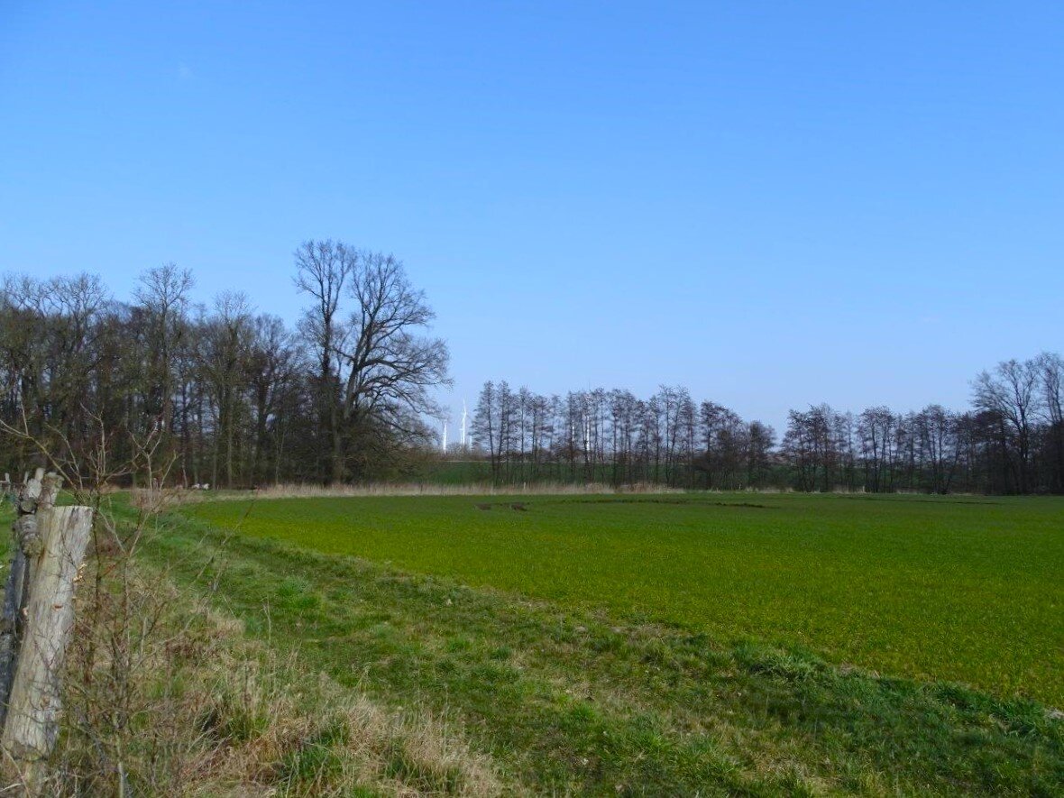 Landwirtschaftliche Fläche zum Kauf 280.000 € 120.000 m²<br/>Fläche 120.000 m²<br/>Grundstück Silmersdorf Triglitz 16949