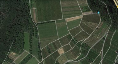 Landwirtschaftliche Fläche zum Kauf Provisionsfrei 11.900 € 1.705 m² 1.705 m² Grundstück Langenbergweg nördlich Münster-Sarmsheim 55424