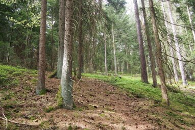 Land-/Forstwirtschaft zum Kauf 121.150 € 24.230 m² Grundstück Wiesing Viechtach / Wiesing 94234