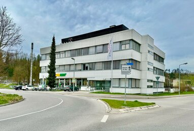 Büro-/Praxisfläche zur Miete Provisionsfrei teilbar von 90 m² bis 460 m² In der Au 3 Sigmaringen Sigmaringen 72488