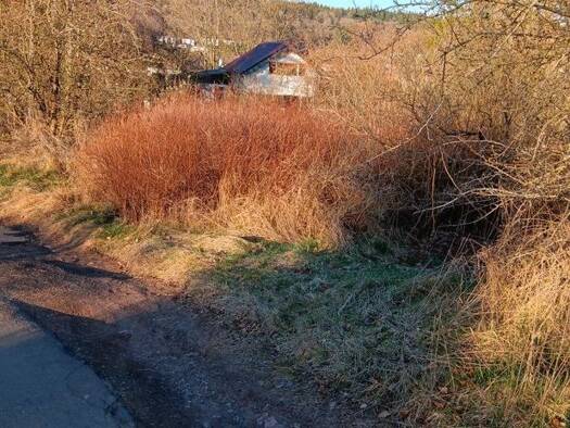 Grundstück zum Kauf 40.000 € 1.618 m² Grundstück Jünkerath 54584