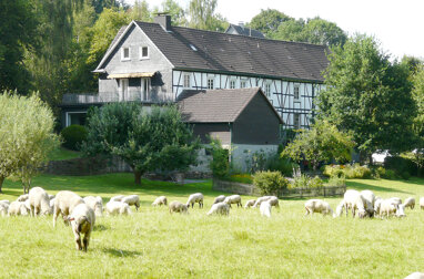 Mehrfamilienhaus zum Kauf 796.000 € 9 Zimmer 300 m² 36.000 m² Grundstück Homburg / Bröl Nümbrecht 51588