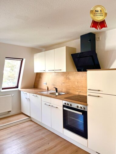 Wohnung zur Miete 599 € 1 Zimmer 49 m² 2. Geschoss Breslauer Straße 12 Stötteritz Leipzig 04299