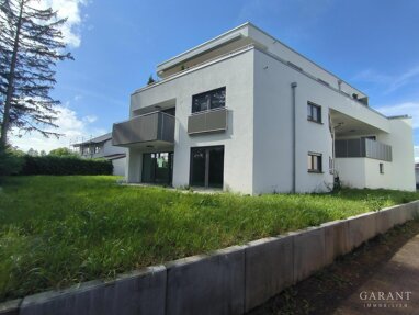 Wohnung zum Kauf Provisionsfrei 499.000 € 4,5 Zimmer 107 m² 1. Geschoss Bad Rappenau Bad Rappenau 74906
