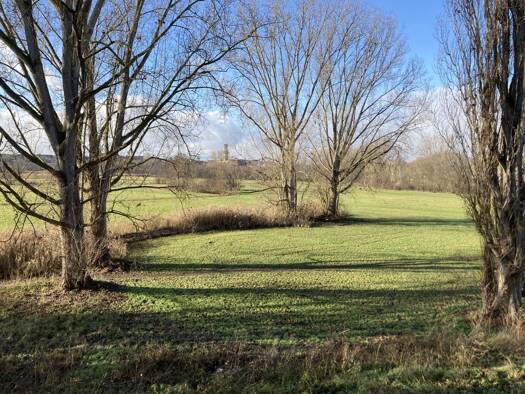 Einfamilienhaus zur Miete 1.550 € 6 Zimmer 140 m² 290 m² Grundstück Espan Fürth 90765