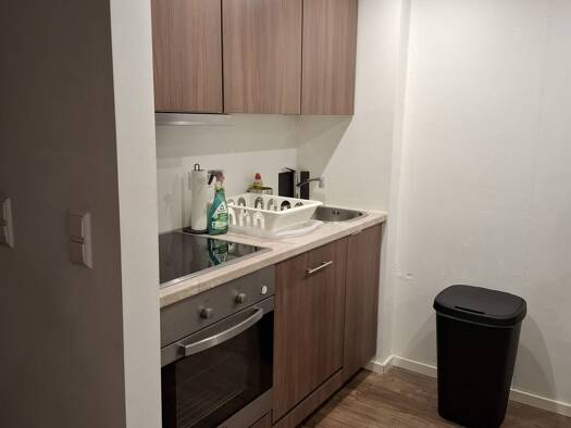 Loft zur Miete 1.900 € 1 Zimmer 70 m² Geschoss EG/4 frei ab sofort Ludwigsvorstadt-Isarvorstadt München 80336