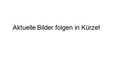 Wohnung zum Kauf 40.000 € 3 Zimmer 60 m² Caaschwitz 07586