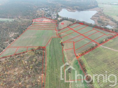 Land-/Forstwirtschaft zum Kauf 390.000 € 425.455 m² Grundstück Schildau Belgern-Schildau 04889