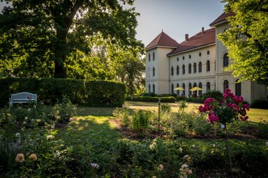 Haus zum Kauf 19 Zimmer 890 m² 64.862 m² Grundstück Groß Flotow Penzlin 17217