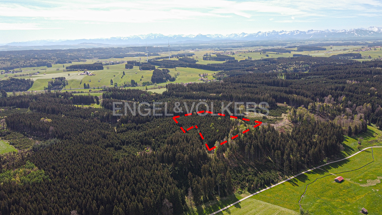 Grundstück zum Kauf 75.000 € 10.945 m² Grundstück Friesenried Friesenried 87654