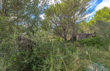 Grundstück zum Kauf 320.000 € 1.005 m² Grundstück Valldemossa 07170