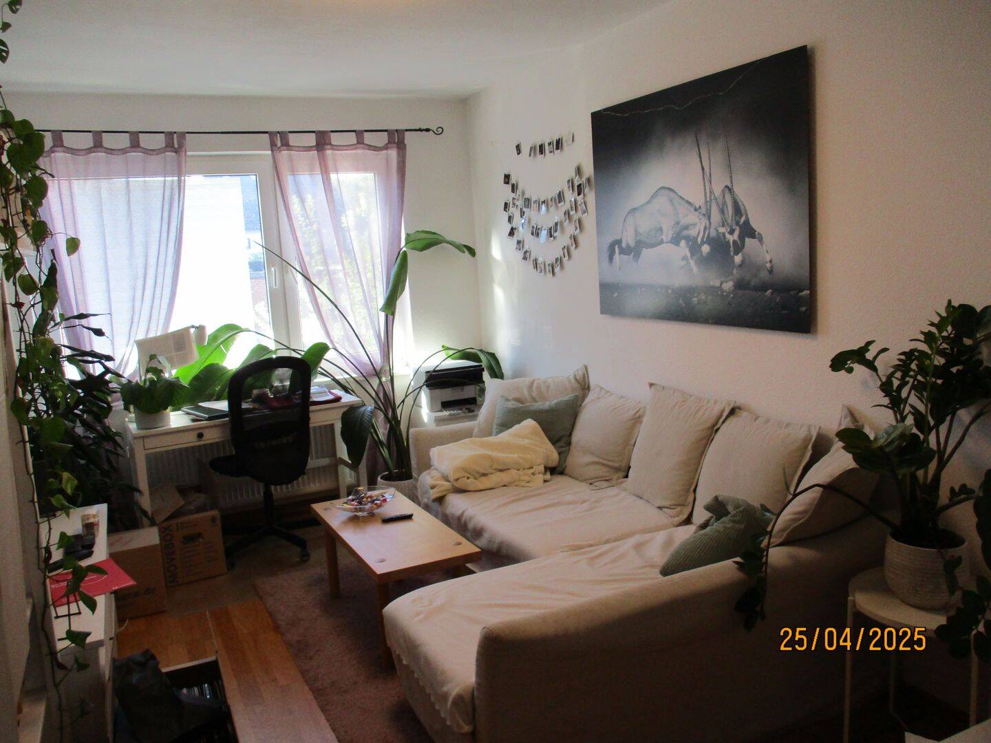 Wohnung zur Miete