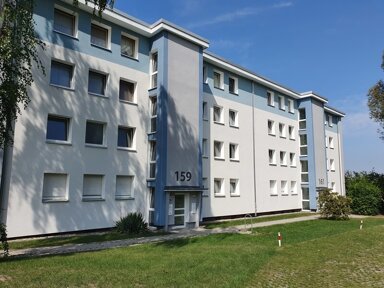 Wohnung zur Miete 485 € 3 Zimmer 60,2 m² frei ab 14.12.2024 Weitmarer Str. 139 Weitmar - Mitte Bochum 44795