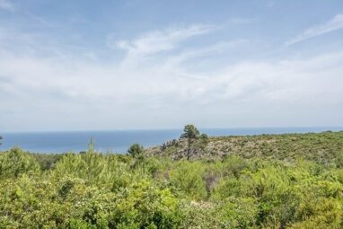 Grundstück zum Kauf 599.000 € 6.000 m² Grundstück Javea