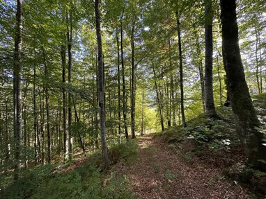 Land-/Forstwirtschaft zum Kauf 235.600 € 23.560 m² Grundstück Am Altweg Enterfels Kreuth 83708