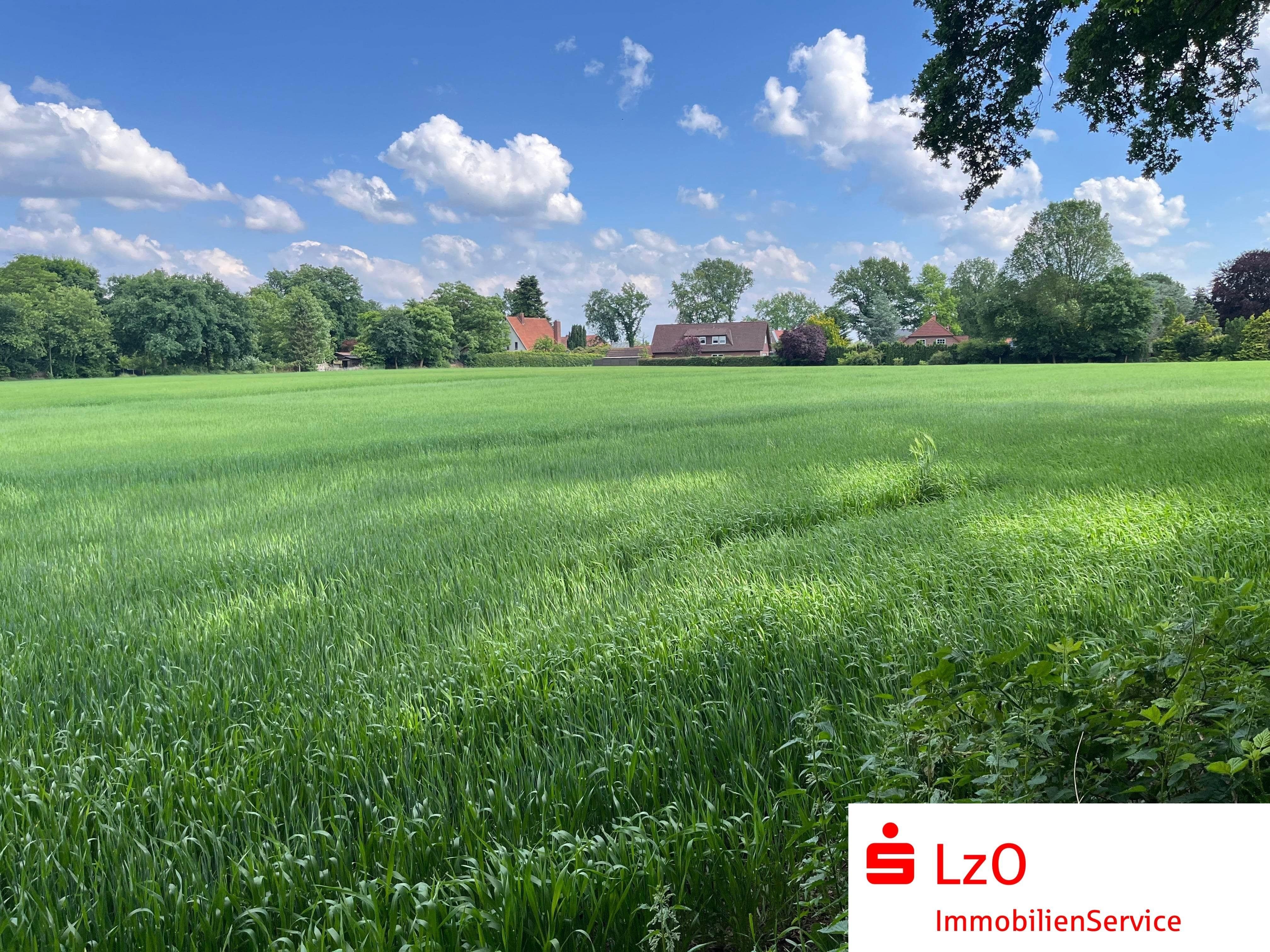 Land-/Forstwirtschaft zum Kauf 30.584 m²<br/>Grundstück Westerscheps Edewecht 26188