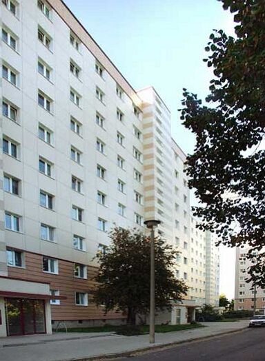 Wohnung zur Miete 213 € 1 Zimmer 31,7 m² EG Salvador-Allende-Str. 24 Neustädter Platz Magdeburg 39126