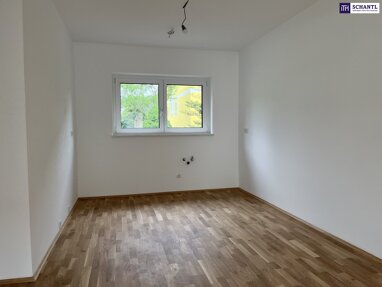 Doppelhaushälfte zum Kauf 429.000 € 5 Zimmer 113 m² 559 m² Grundstück Rohrbach Rohrbach 8151
