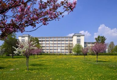 Bürofläche zur Miete provisionsfrei 164,9 m² Bürofläche Hermann-Reichelt-Straße 3A Flughafen Dresden/Industriegebiet Klotzsche Dresden 01109