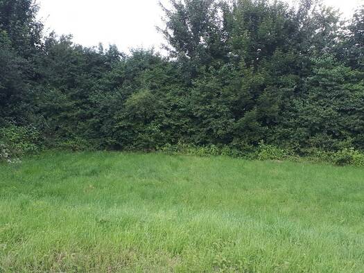 Grundstück zum Kauf 250.000 € 1.200 m² Grundstück St Georgen Sankt Georgen 83368