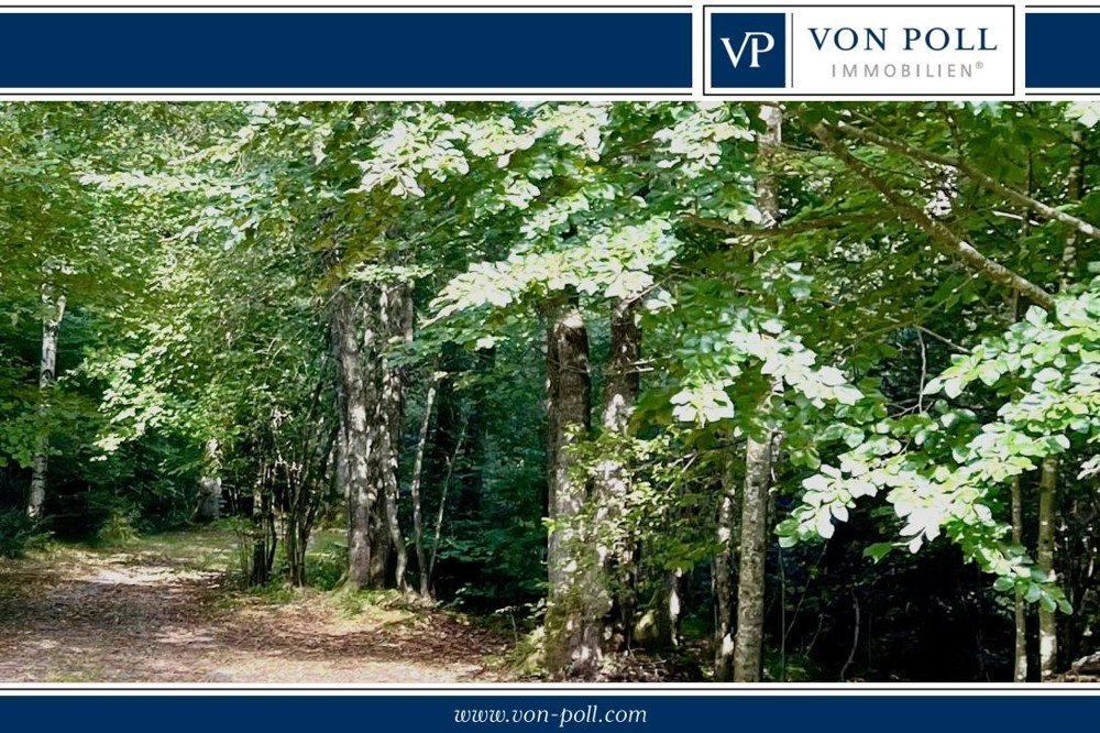 Forstwirtschaft zum Kauf 62.577 € 7.362 m² Grundstück Rehberg Freyung 94078