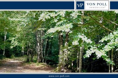 Forstwirtschaft zum Kauf 60.000 € 7.362 m² Grundstück Linden Freyung 94078