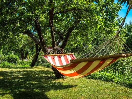 Grundstück zum Kauf provisionsfrei 55.000 € 655 m² Grundstück Meerane 08393