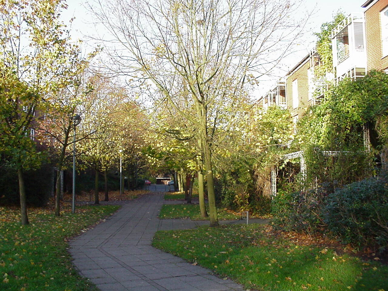 Wohnung zur Miete