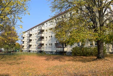 Apartment zur Miete 260 € 2 Zimmer 45,2 m² Erdgeschoss Th.-Müntzer-Siedlung 40 Hainichen Hainichen 09661