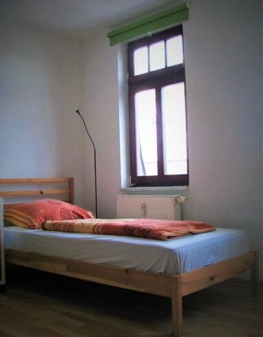 Wohnung zur Miete Wohnen auf Zeit 800 € 1 Zimmer 40 m² frei ab sofort Mitte - West 134 Zwickau 08056