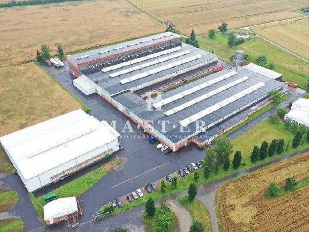 Lagerhalle zur Miete 15.973 m² Lagerfläche teilbar ab 2.990 m² Trennfeld Triefenstein 97855