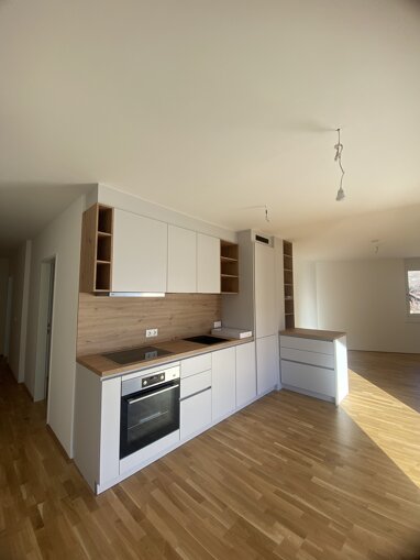 Wohnung zur Miete 1.420 € 3 Zimmer 75,7 m² 1. Geschoss Nußdorfer Straße 2 Lienz, Osttirol 9900