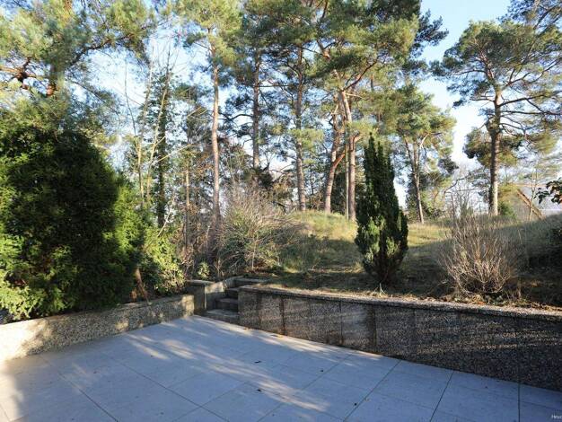 Wohnung zur Miete 750 € 2 Zimmer 75,8 m² Gifhorn 38518