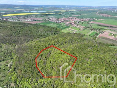 Land-/Forstwirtschaft zum Kauf 39.000 € 42.127 m² Grundstück Heldrungen An der Schmücke 06577