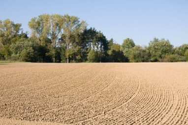 Landwirtschaftliche Fläche zum Kauf 2.500.000 € 250.000 m² Grundstück Stafflangen Biberach an der Riß 88400