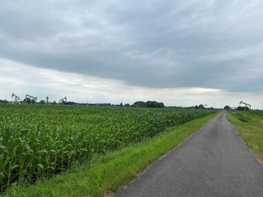 Landwirtschaftliche Fläche zum Kauf 93.578 m² Grundstück Emlichheim Emlichheim 49824